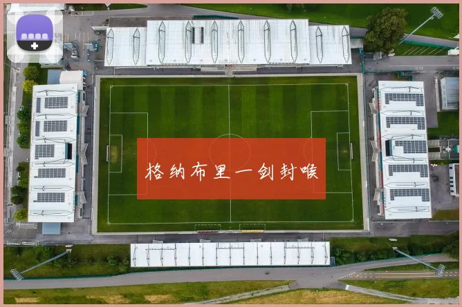 格纳布里一剑封喉