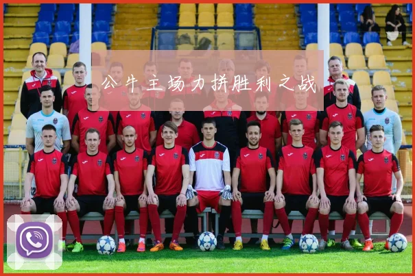 公牛主场力拼胜利之战