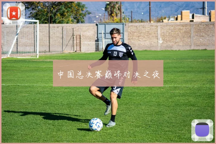 中国总决赛巅峰对决之夜