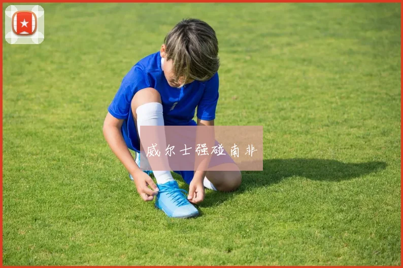 威尔士强碰南非